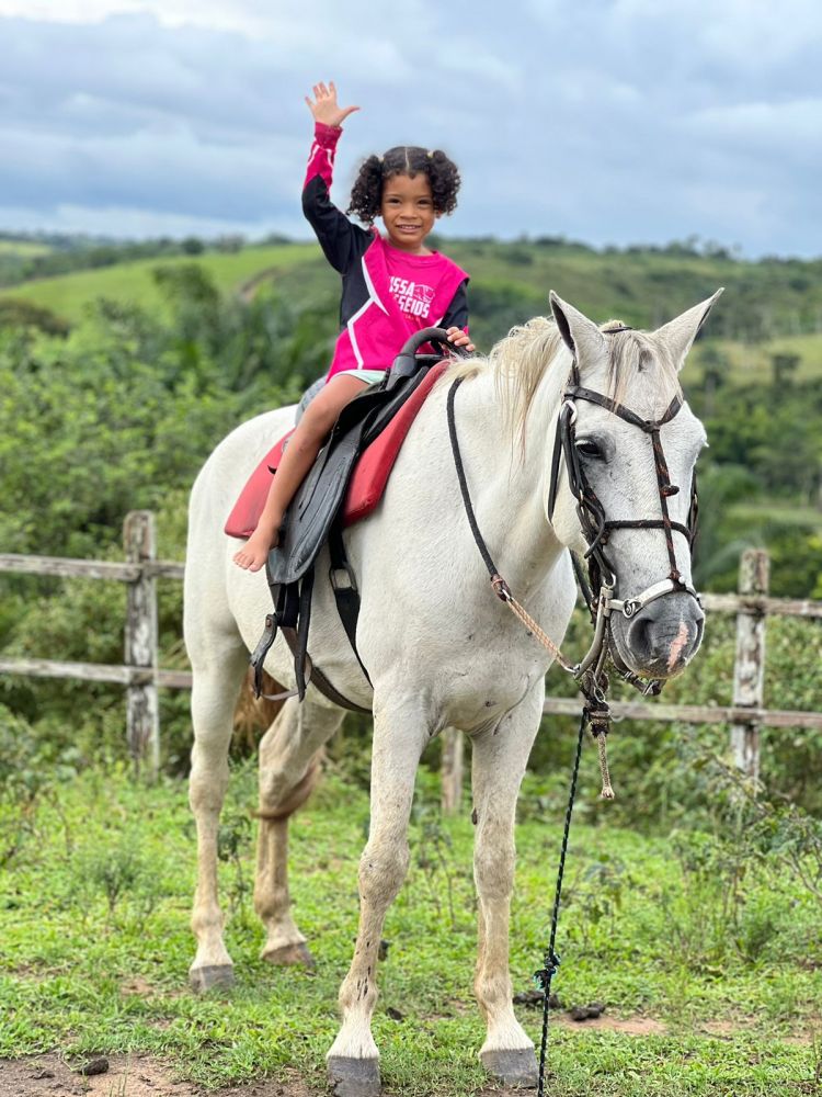 FAZENDA GUIMARÃES