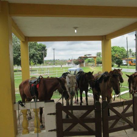 FAZENDA GUIMARÃES