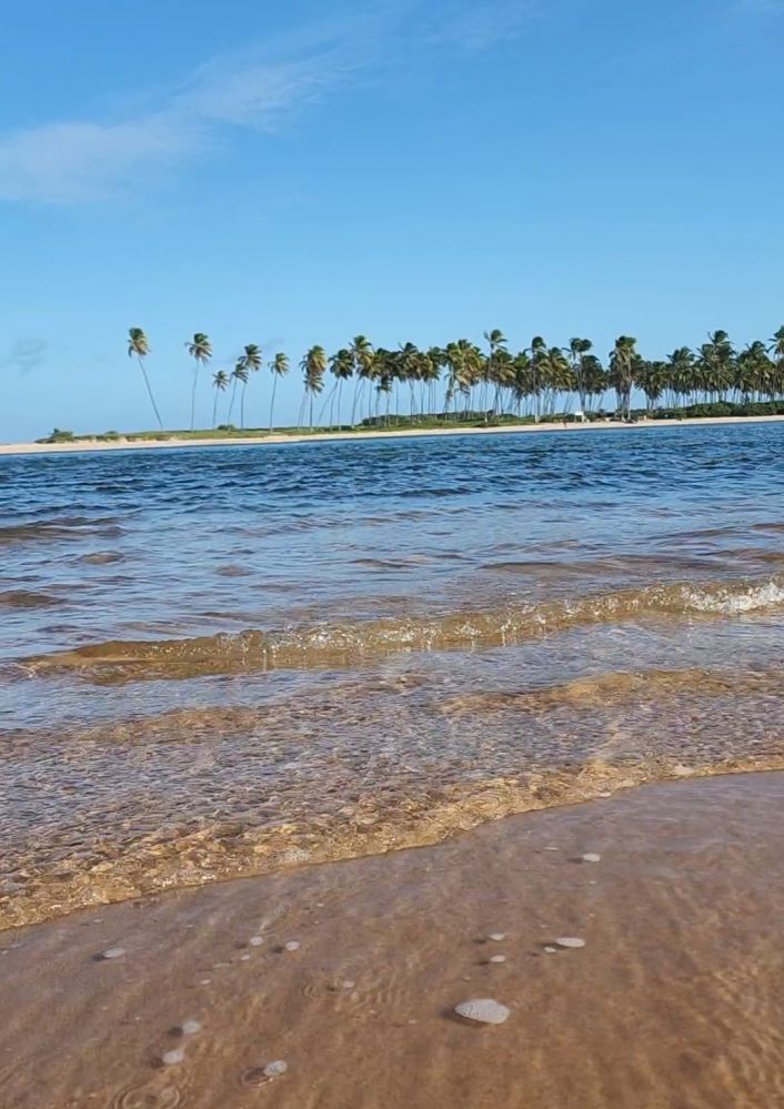 BARRA DE JACUIPE - RIO E MAR