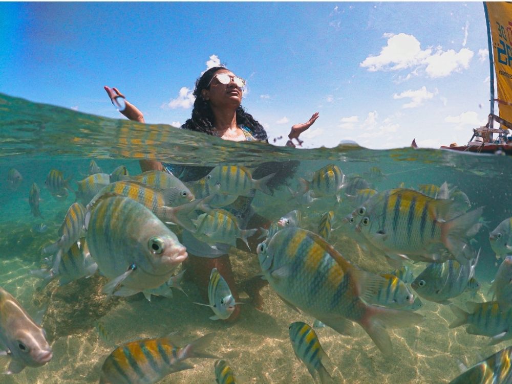 PORTO DE GALINHAS + PRAIA DE  CARNEIROS