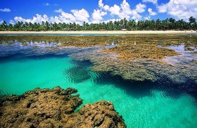 DUNAS DE MARAPE + MACEIO + PARIPUEIRA