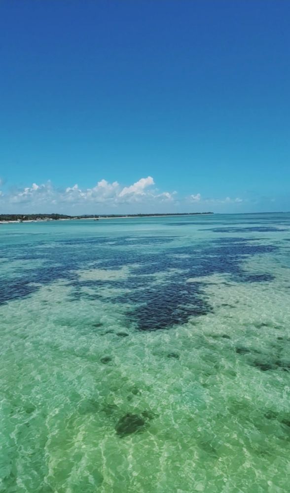 SÃO JOSE DA COROA GRANDE + ILHA DO PARAISO + MACEIO