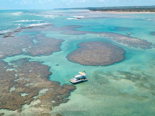 SÃO JOSE DA COROA GRANDE + ILHA DO PARAISO + MACEIO